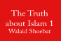 Walaid Shoebat 1.mp4